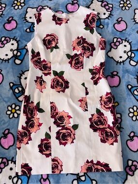 Adam Lippes dress